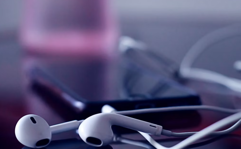 Earphones